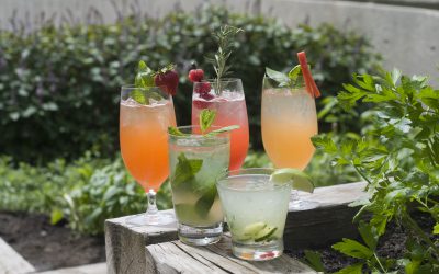 New Herb Infused Cocktail Menu at the Westin Crown Center