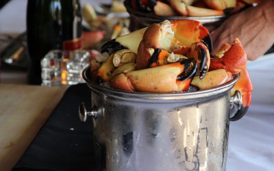 Stone Crab Season at Sullivan’s Steakhouse